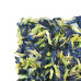 2022, Анчан "Синяя бабочка"/"тайский чай", цветочный, большой бокс, 1000 г, фермерский чай